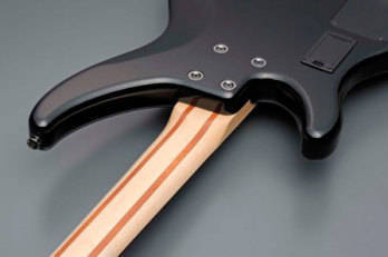 300 Series 5 String Bass Guitar - Mist Green